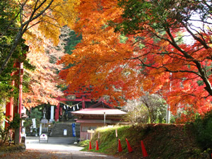鷲子山上神社(とりのこさんじょうじんじゃ)に関するページ