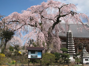 西方寺に関するページ