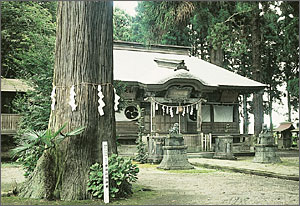 甲神社に関するページ