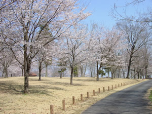 大宮自然公園・やすらぎの森公園に関するページ