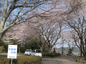 宇留野公園に関するページ