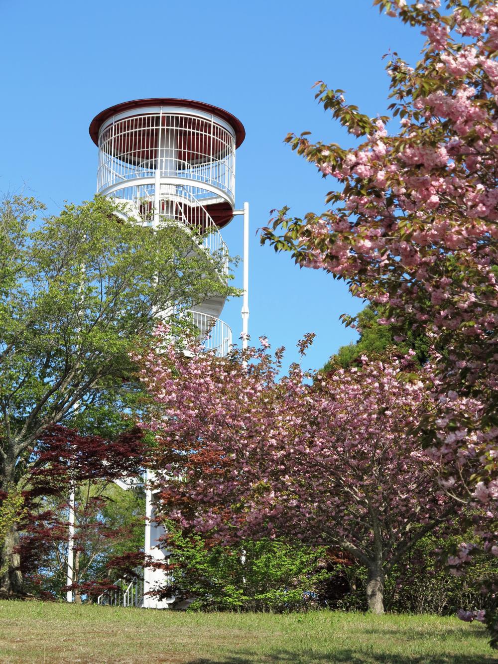 三王山（さんのうざん）自然公園に関するページ