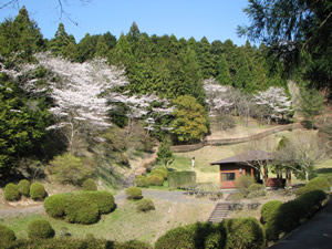 陰陽山森林公園に関するページ