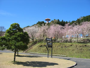 やすらぎの里公園に関するページ