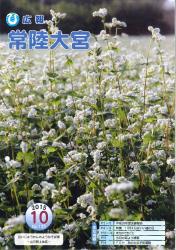 広報常陸大宮 平成27年10月号（そば畑）表紙