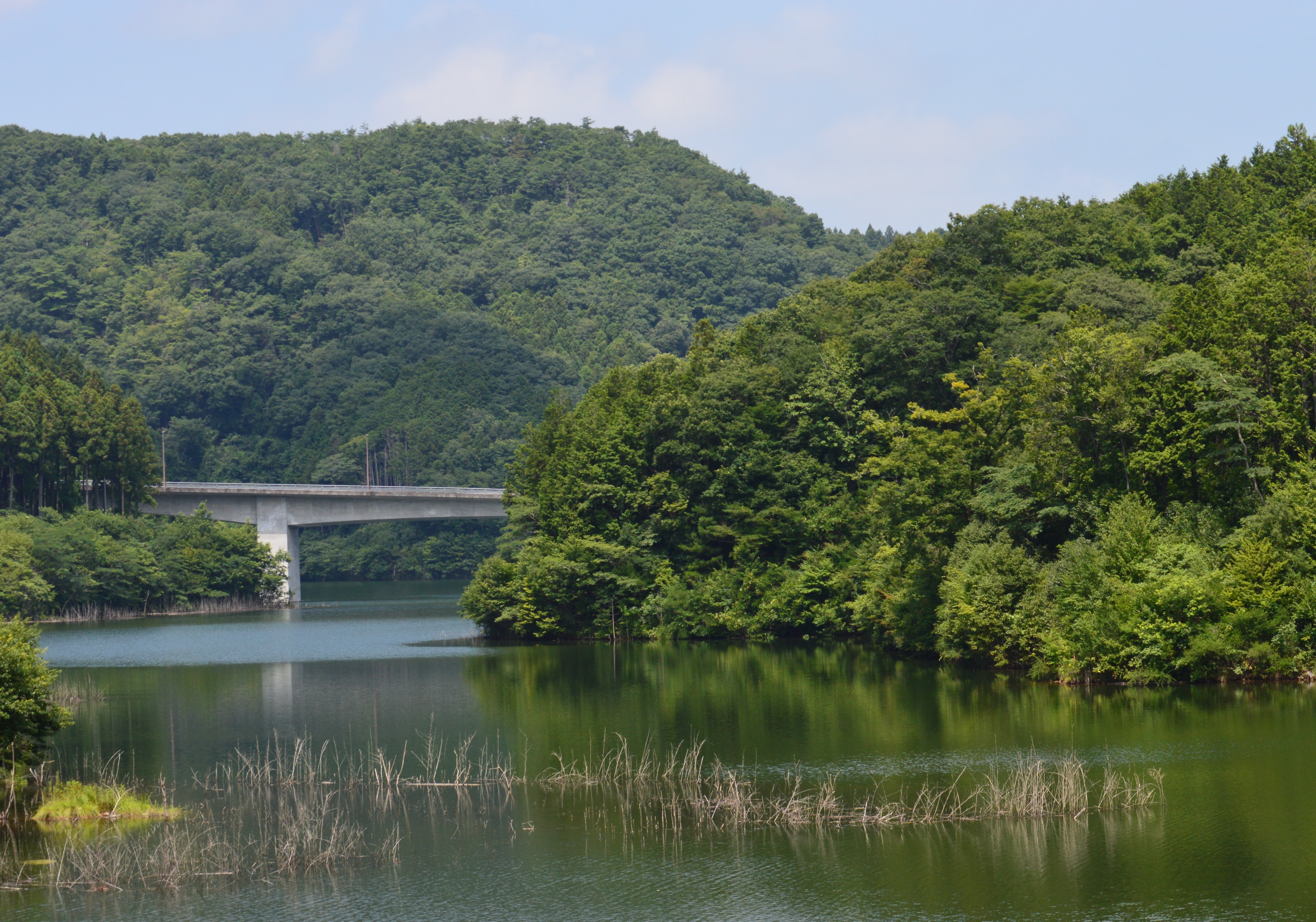 御前山ダム夏2