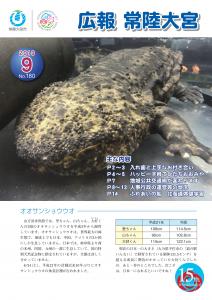 9月表紙