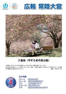 表紙－八重桜（やすらぎの里公園）－
