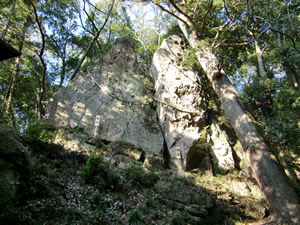 陰陽神社01