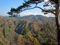 上山ハイキングコース10