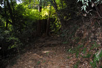 御前山ハイキングコース02 御前山ハイキングコース02