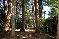 御前山ハイキングコース04 御前山ハイキングコース04