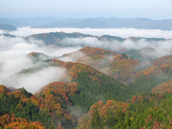 休場展望台02