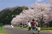 辰ノ口親水公園 桜づつみ