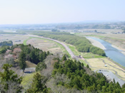 辰ノ口親水公園 展望台からの桜づつみ