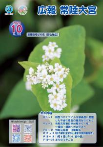 表紙 常陸秋そばの花（野上地区） 表紙