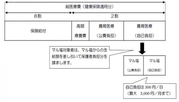 養育医療費用負担の内訳