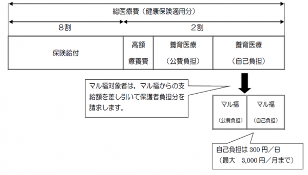 養育医療費用負担