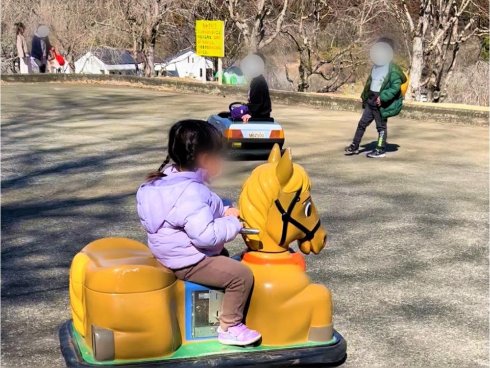 バッテリーカー