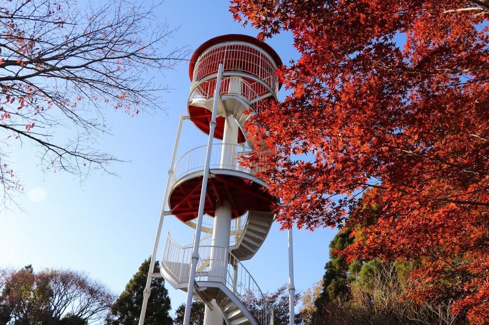 展望台