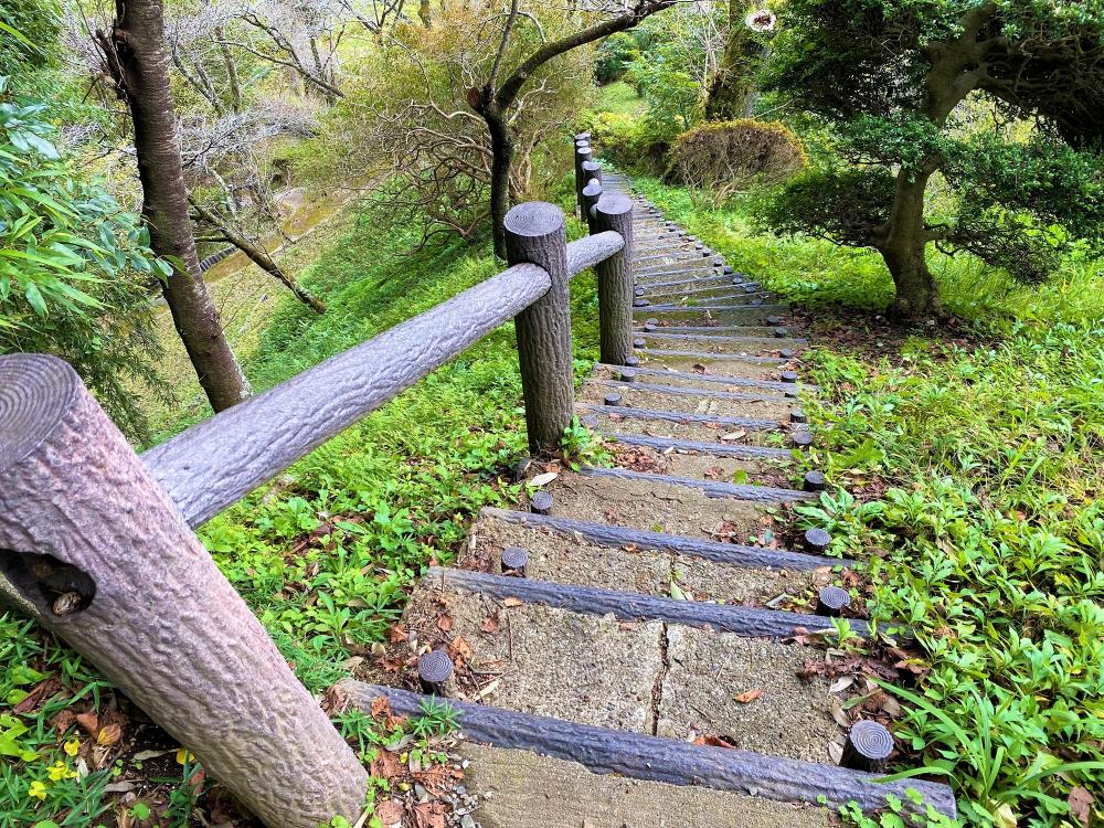 坂道