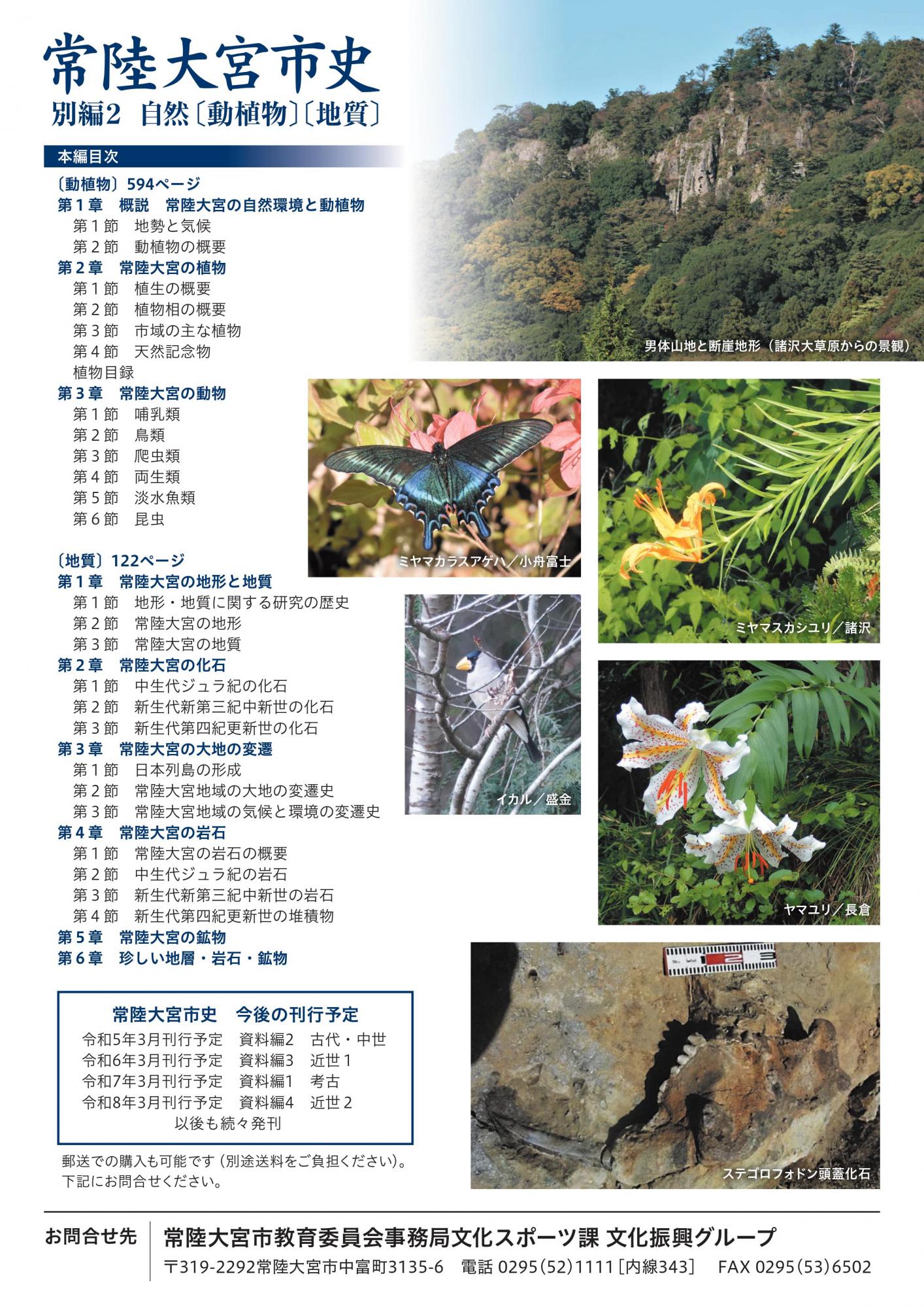 別編2 自然 チラシ裏