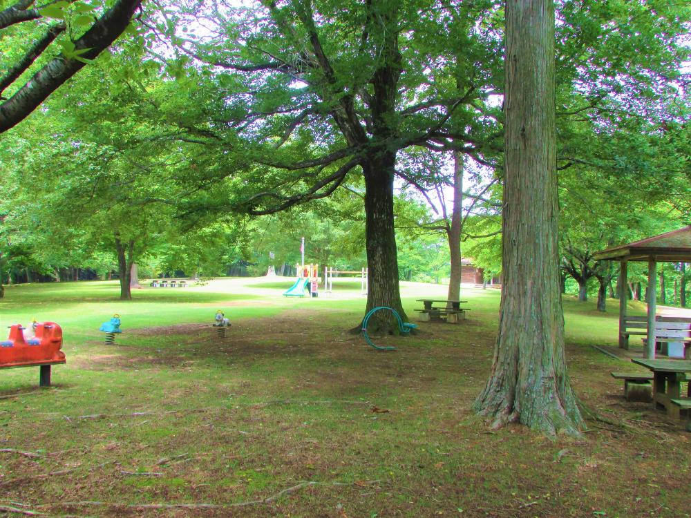 全景