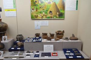 展示