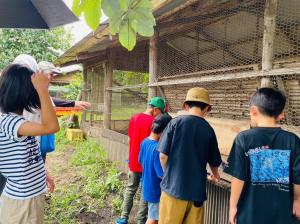 鶏卵農園環の花で卵収穫