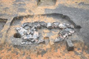 宿尻遺跡出土状況