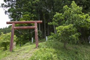 河内城