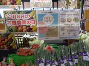 販促の様子