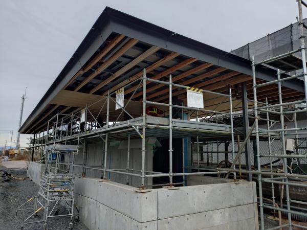 [R6.12]新駅舎軒天杉1
