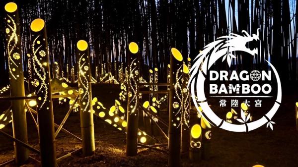 竹あかりイベント「ひたち大宮 DRAGON BAMBOO」を開催します！
