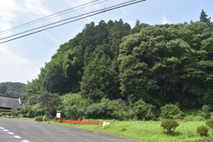 小田野城ツアー