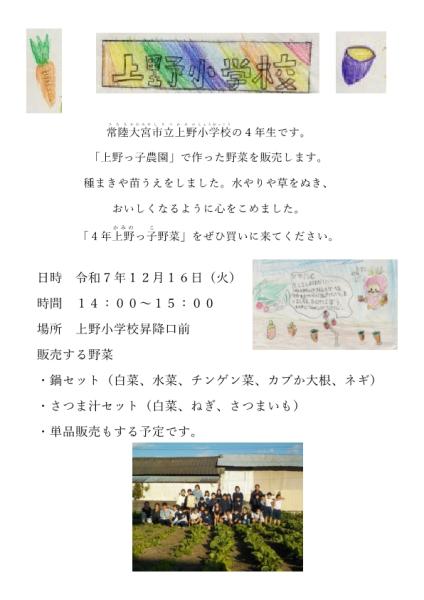 上野っ子農園野菜販売チラシ