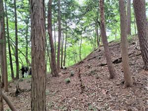 上檜沢館跡の切岸