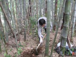第1弾 豊島区の森を歩いてみよう3