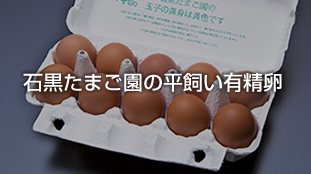 石黒たまご園の平飼い有精卵