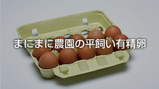 まにまにの平飼い有精卵